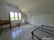 Casa de vanzare, potential pensiune, pe malul Timisului,Sag,comision 0 