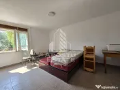 Casa de vanzare, potential pensiune, pe malul Timisului,Sag,comision 0 