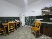 Casa de vanzare, potential pensiune, pe malul Timisului,Sag,comision 0 