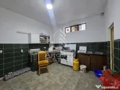 Casa de vanzare, potential pensiune, pe malul Timisului,Sag,comision 0 