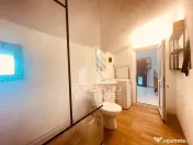 Casa/Spatiu Comercial Cartier Functionarilor -Kaufland Banu Maracine 