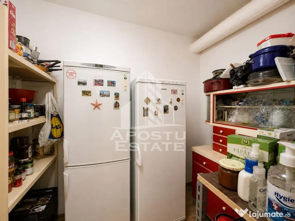 Casa cu 3 dormitoare si curte proprie, zona Dorobantilor – Timisoara - Timisoara (Timis)