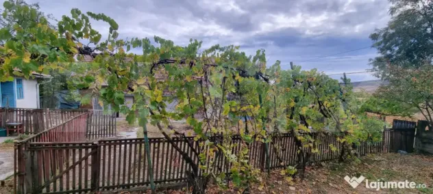 Casa cu doua corpuri,curte si gradina - Boian (Cluj)