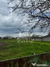 Teren intravilan 1000 mp in Dinias 20km de Timisoara 