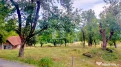 Teren Intravilan Magulicea - Zona Varfurile