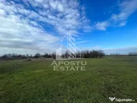 Parcele de teren pentru inchiriat, zona Gai 