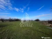 Parcele de teren pentru inchiriat, zona Gai