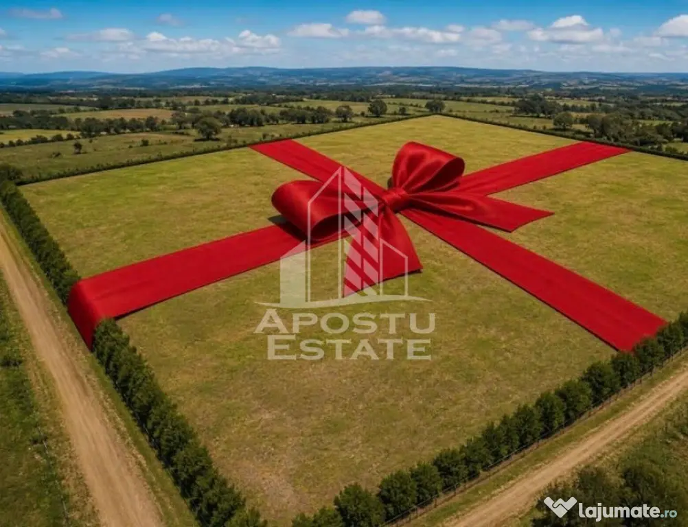 Parcele PUZ industrial 23,5 ha |17 euro+TVA| zona Nord Timișoara - Dudestii Noi (Timis)