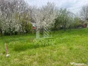 Teren de vanzare, 1001 mp, vatra veche, in Sanandrei, Timis 