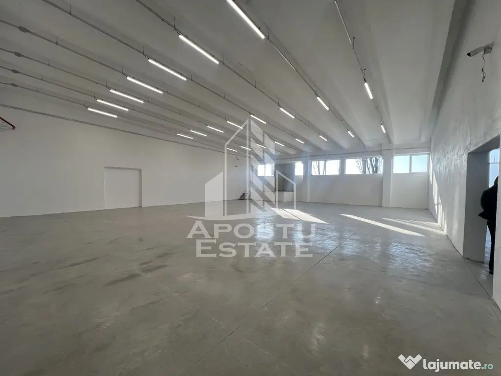 Hala industriala 363 mp de închiriat – Freidorf - Timisoara (Timis)