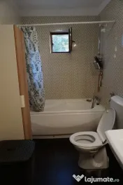 Apartament 2 camere, decomandat, mobilat, zona Bucovina 