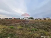 Terenuri intravilane de vanzare Branesti / Strada Violetelor 