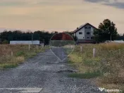Terenuri intravilane de vanzare Branesti / Strada Violetelor 