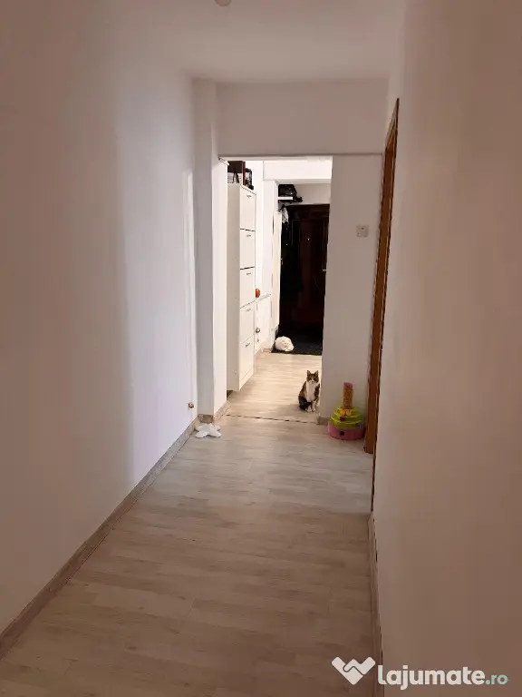 Proprietar - Apartament 3 camere cu curte proprie 80 mp, bloc 2020 - Bucuresti (Bucuresti-Ilfov)