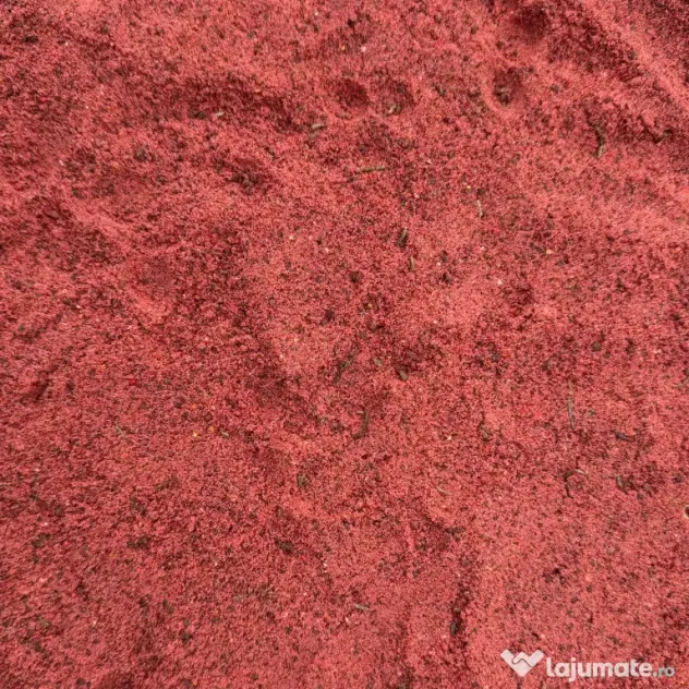 SENZOR PLANET NADA APA RECE LARVE LIBELULE 1kg