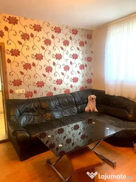 Închiriez apartament cu 2 camere în centrul civic Brașov - Brasov (Brasov)