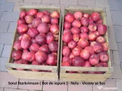 Mere pentru consum - fructe
