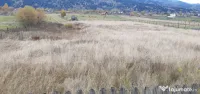 Teren intravilan, 4.414 mp, zona Saru Dornei - Vatra Dornei