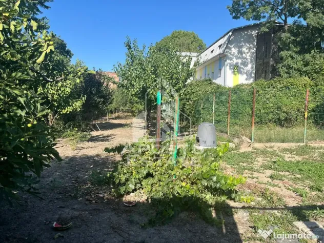 Casa individuala 7 camere, 3 bai, garaj, teren 1129 mp, zona Iosefin - Timisoara (Timis)