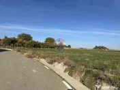Teren 1,122mp Stefan Cel Mare Ghigoiesti / Strada Cameliei
