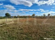 Teren 2423 mp, extravilan, în Baia de Fier 