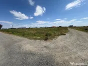 Terenuri in Sacalaz | Investitie | Spatiu comercial | Zona e 