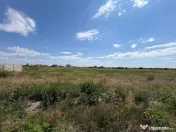 Terenuri in Sacalaz | Investitie | Spatiu comercial | Zona e 