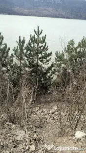 Teren intravilan 1050mp 48ml front la Dunare Svinita -Mehed 