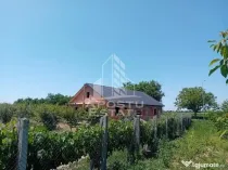 De vanzare livada mixta de 1,6 ha - deosebita și bine îngrijită