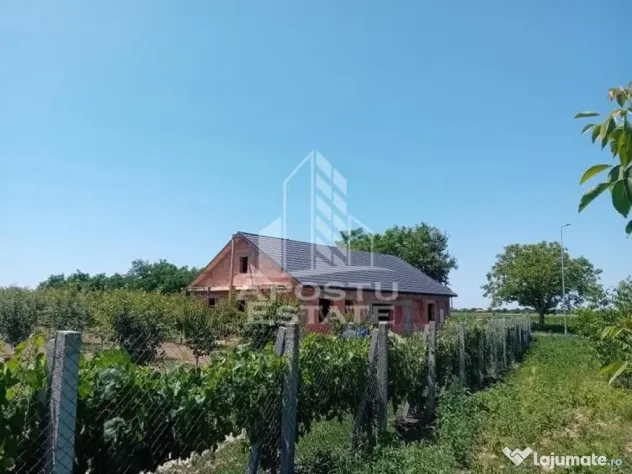 De vanzare livada mixta de 1,6 ha - deosebita și bine îngrijită - Belint (Timis)
