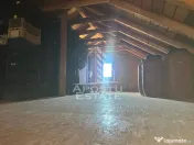 De vanzare livada mixta de 1,6 ha - deosebita și bine îngrijită 