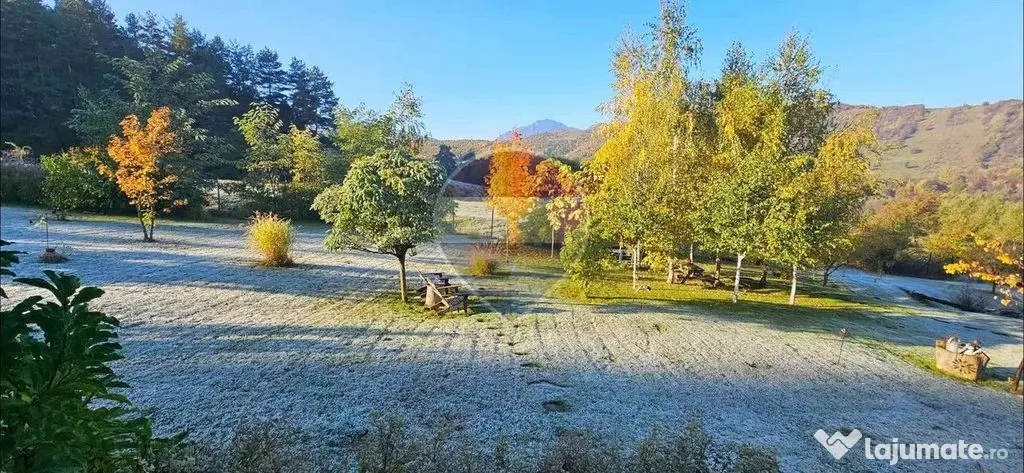 Teren 7,160mp Tarlungeni / Strada Mihai eminescu - Tarlungeni (Brasov)