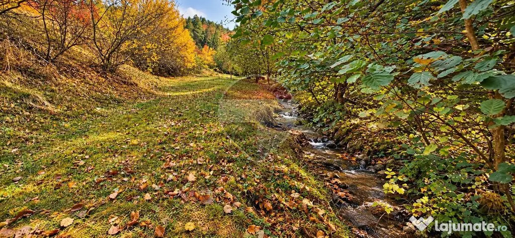 Teren 7,160mp Tarlungeni / Strada Mihai eminescu - Tarlungeni (Brasov)