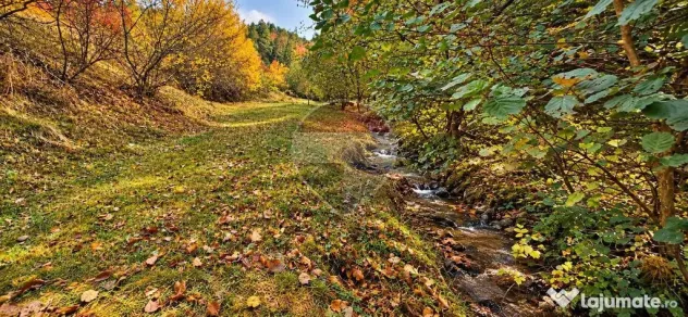 Teren 7,160mp Tarlungeni / Strada Mihai eminescu - Tarlungeni (Brasov)