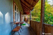 CASA CU ISTORIE/ VILLA ORGIDAN VALCELE- de Vanzare! 