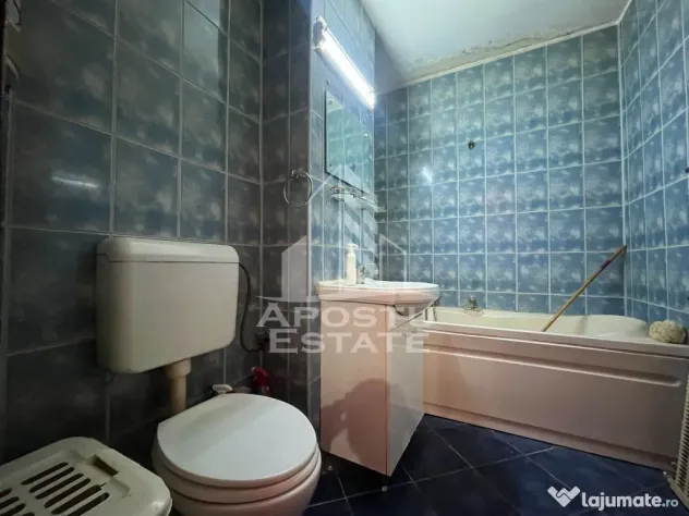 Apartament 4 camere, Malul Muresului - Arad (Arad)
