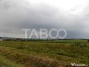 Teren de vanzare 10000 mp CF 107274 deschidere de 42 m in Su