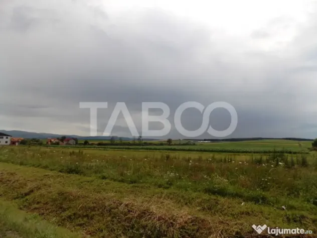 Teren de vanzare 10000 mp CF 107274 deschidere de 42 m in Su - Sura Mica (Sibiu)