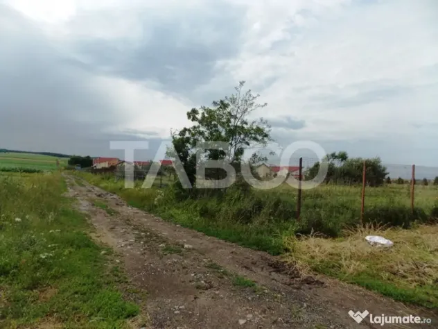 Teren de vanzare 10000 mp CF 107274 deschidere de 42 m in Su - Sura Mica (Sibiu)