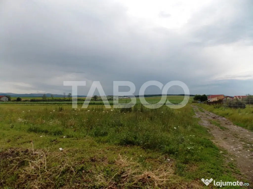 Teren de vanzare 10000 mp CF 107274 deschidere de 42 m in Su - Sura Mica (Sibiu)