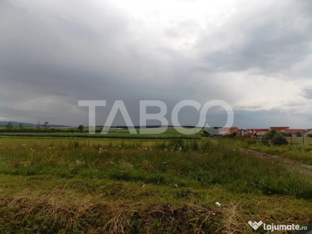 Teren de vanzare 10000 mp CF 107274 deschidere de 42 m in Su - Sura Mica (Sibiu)