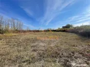 TEREN | 5682MP | LA INTRARE IN LES | ACCES DIN DN79 | BIHOR 