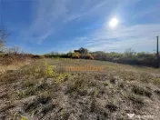 TEREN | 5682MP | LA INTRARE IN LES | ACCES DIN DN79 | BIHOR 
