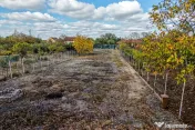Teren 1.514 mp cu casă P+M Aradul Nou, Strada Posada Comsion 0%