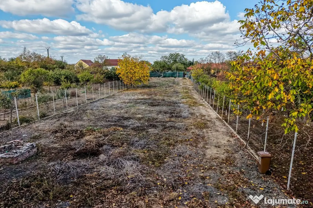 Teren 1.514 mp cu casă P+M Aradul Nou, Strada Posada Comsion 0% - Arad (Arad)