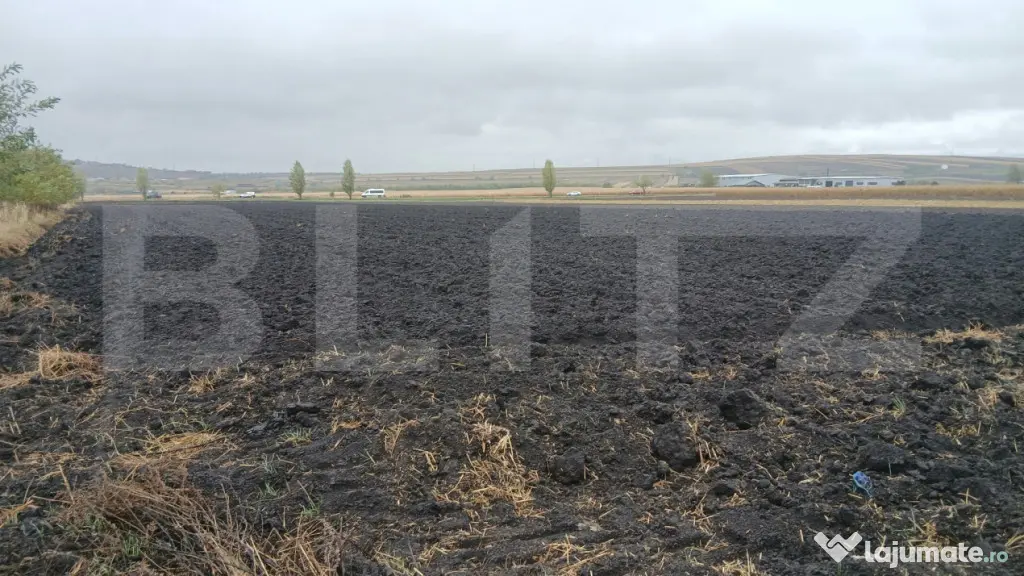 Teren extravilan, 15.255 mp, zona Scheia - Suceava (Suceava)