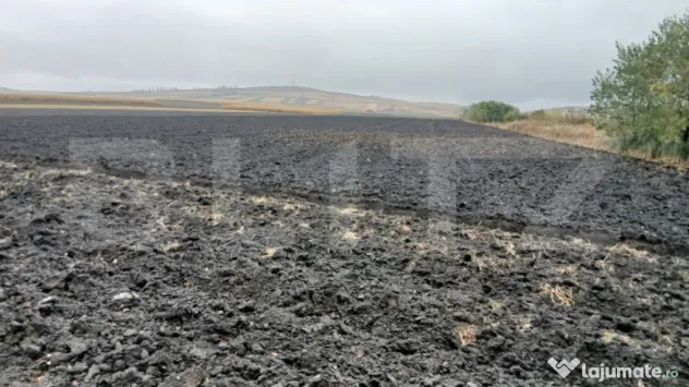 Teren extravilan, 15.255 mp, zona Scheia - Suceava (Suceava)