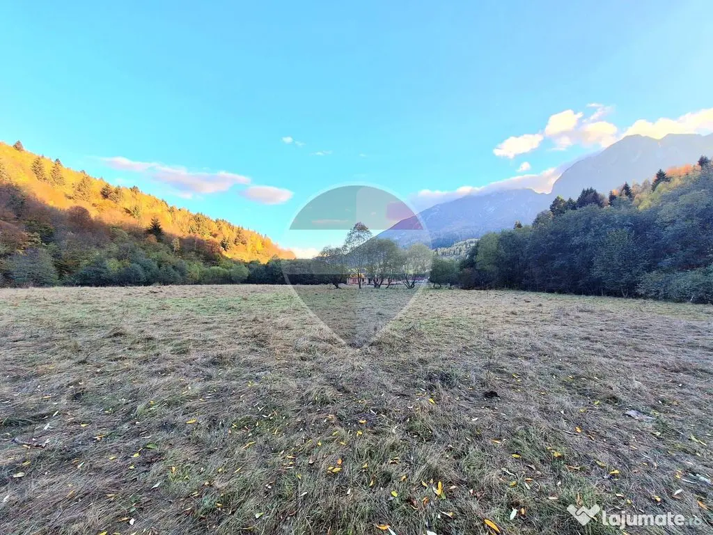 Teren de vanzare Zarnesti Brasov Piatra craiului - Zarnesti (Brasov)
