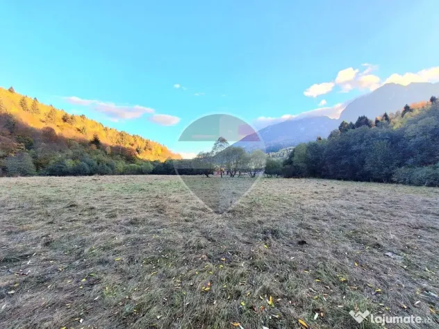 Teren de vanzare Zarnesti Brasov Piatra craiului - Zarnesti (Brasov)