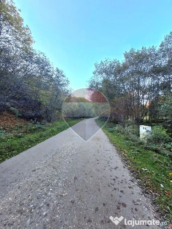 Teren de vanzare Zarnesti Brasov Piatra craiului - Zarnesti (Brasov)
